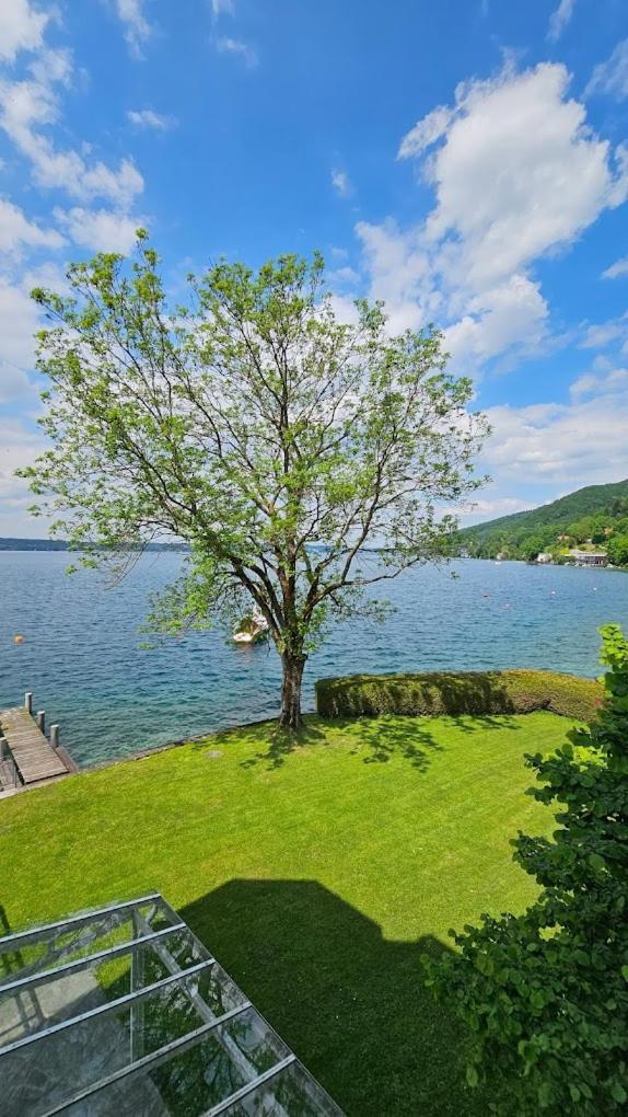 Gasthof Mit Seeterasse & Appartements Zur Landeroith Weyregg Exterior foto